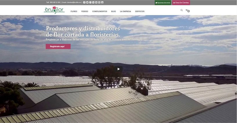 Diseño web con vídeo a pantalla completa